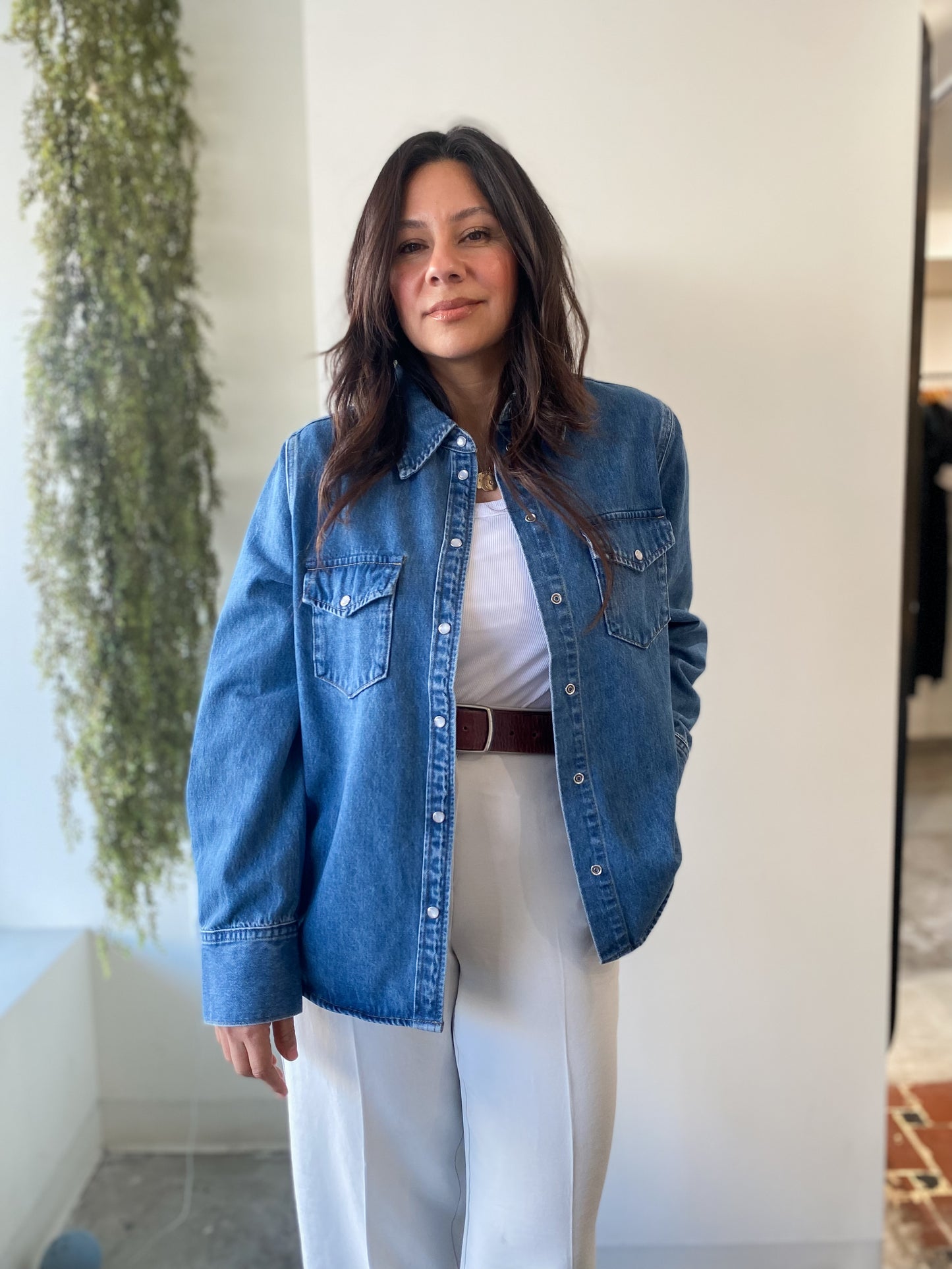 Farley Western Button Down