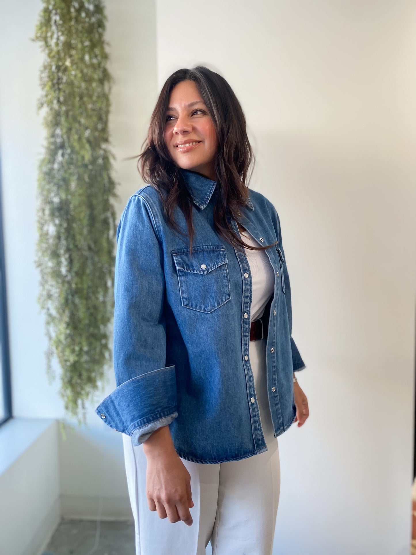 Farley Western Button Down
