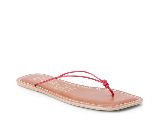 Ray Sandal